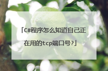 C#程序怎么知道自己正在用的tcp端口号?