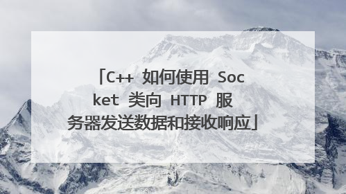 C++ 如何使用 Socket 类向 HTTP 服务器发送数据和接收响应