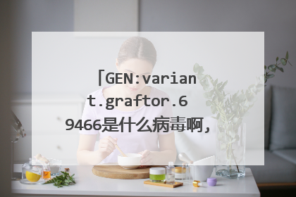 GEN:variant.graftor.69466是什么病毒啊,全是视频文件?!!!