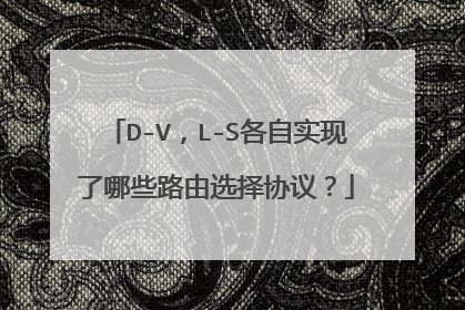 D-V,L-S各自实现了哪些路由选择协议?