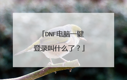DNF电脑一键登录叫什么了?