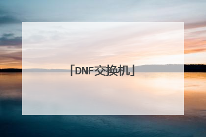 DNF交换机