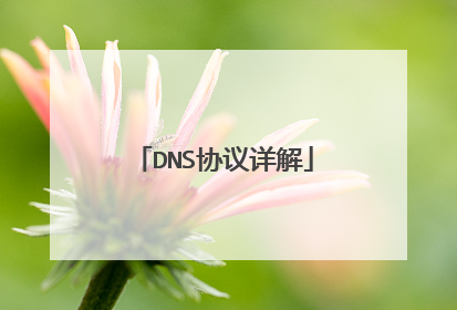 DNS协议详解