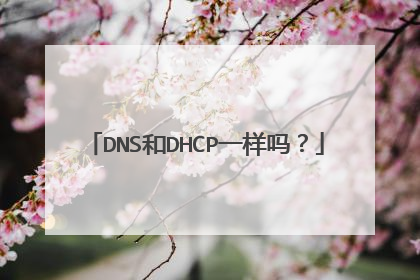 DNS和DHCP一样吗?