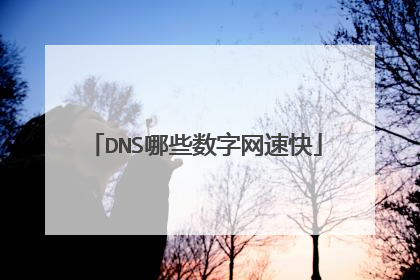 DNS哪些数字网速快
