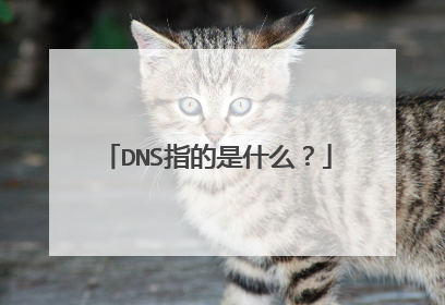 DNS指的是什么？