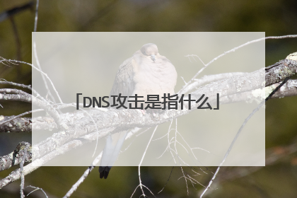 DNS攻击是指什么