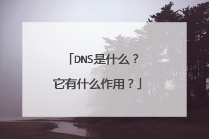 DNS是什么？它有什么作用？