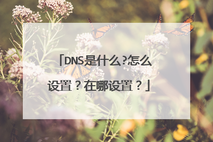 DNS是什么?怎么设置？在哪设置？