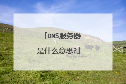 DNS服务器是什么意思?