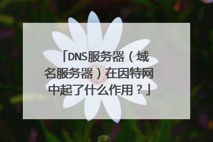 DNS服务器(域名服务器)在因特网中起了什么作用?