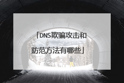 DNS欺骗攻击和防范方法有哪些