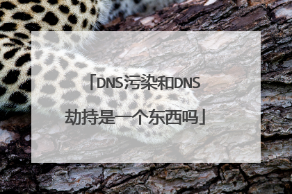 DNS污染和DNS劫持是一个东西吗