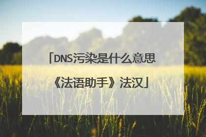 DNS污染是什么意思 《法语助手》法汉