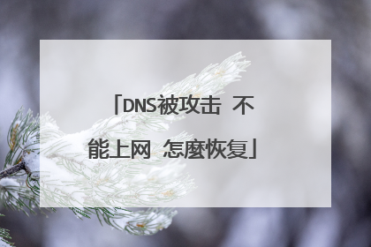 DNS被攻击 不能上网 怎麼恢复