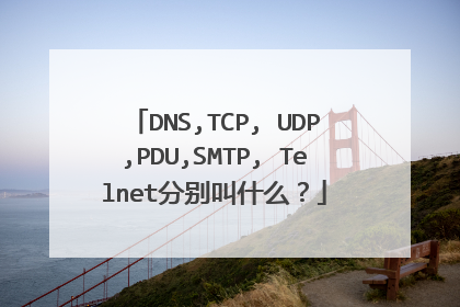 DNS,TCP, UDP,PDU,SMTP, Telnet分别叫什么?