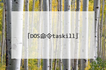 DOS命令taskill
