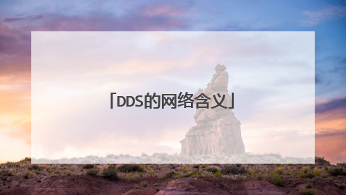 DDS的网络含义