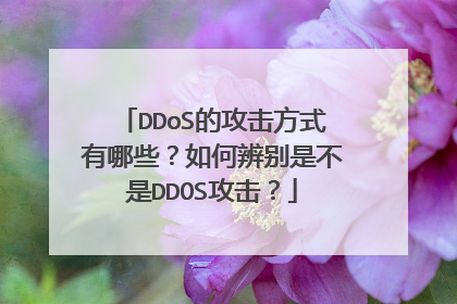 DDoS的攻击方式有哪些?如何辨别是不是DDOS攻击?