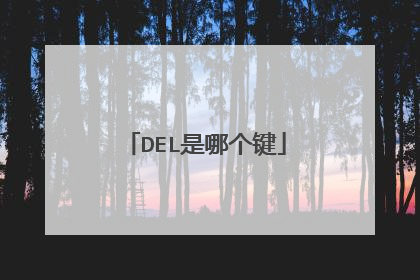 DEL是哪个键