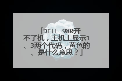 DELL 980开不了机,主机上显示1、3两个代码,黄色的、是什么意思?
