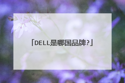 DELL是哪国品牌?