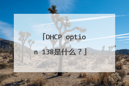 DHCP option 138是什么？