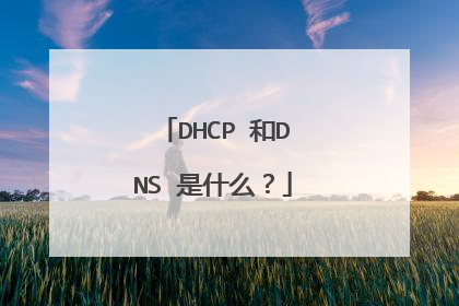 DHCP 和DNS 是什么?