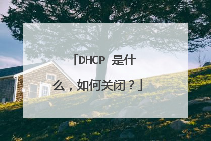 DHCP 是什么，如何关闭？