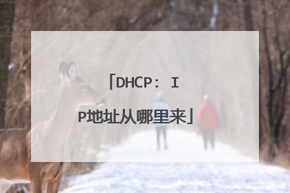 DHCP: IP地址从哪里来