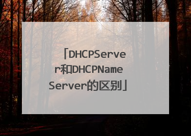 DHCPServer和DHCPNameServer的区别