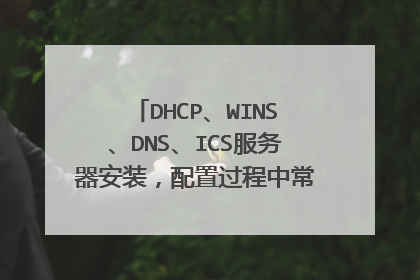 DHCP、WINS、DNS、ICS服务器安装，配置过程中常遇的问题及解决方法