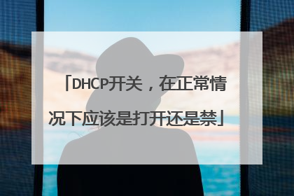 DHCP开关，在正常情况下应该是打开还是禁