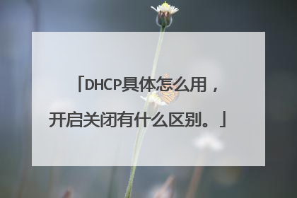 DHCP具体怎么用,开启关闭有什么区别。