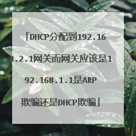 DHCP分配到192.168.2.1网关而网关应该是192.168.1.1是ARP欺骗还是DHCP欺骗