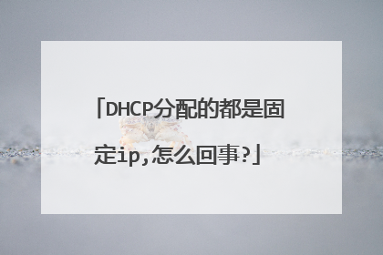 DHCP分配的都是固定ip,怎么回事?