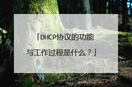 DHCP协议的功能与工作过程是什么?
