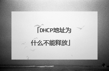 DHCP地址为什么不能释放