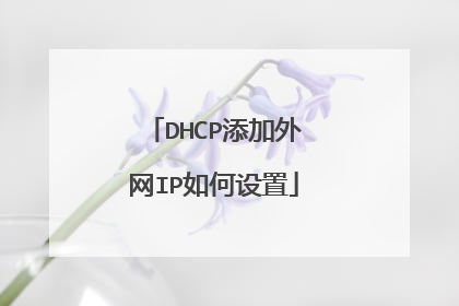 DHCP添加外网IP如何设置
