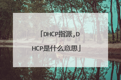 DHCP指派,DHCP是什么意思