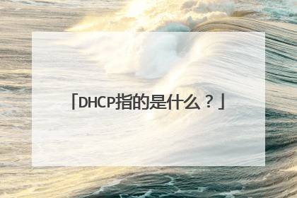 DHCP指的是什么？