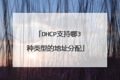 DHCP支持哪3种类型的地址分配