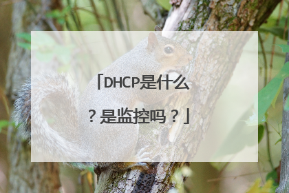 DHCP是什么?是监控吗?