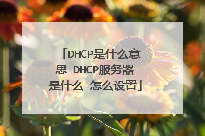 DHCP是什么意思 DHCP服务器是什么 怎么设置