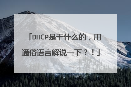 DHCP是干什么的，用通俗语言解说一下？！