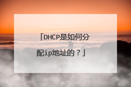DHCP是如何分配ip地址的？