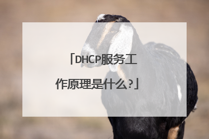 DHCP服务工作原理是什么?