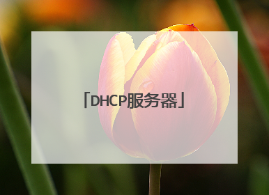 DHCP服务器