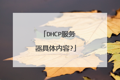 DHCP服务器具体内容?