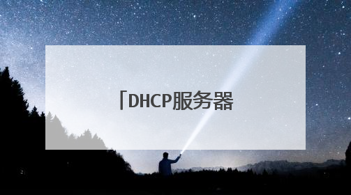 DHCP服务器可以为客户机提供哪些参数?